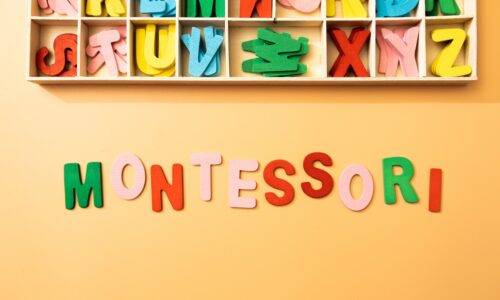 image Formation Montessori en ligne : suivez le guide !