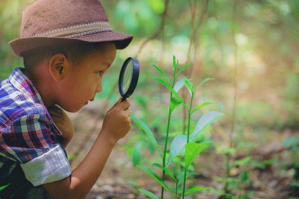 eveil a la nature enfant L'éveil à la nature chez les enfants : cultiver la curiosité et la connexion avec le monde naturel