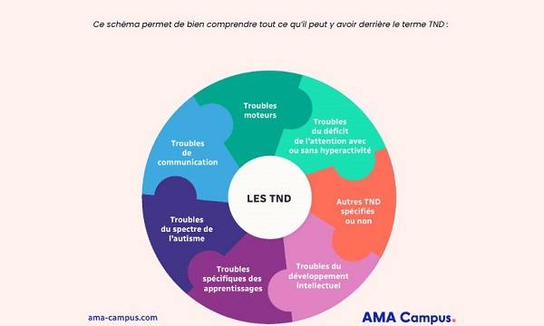 TND shema Qu'est-ce que le Trouble du Spectre de l'Autisme (TSA) ?