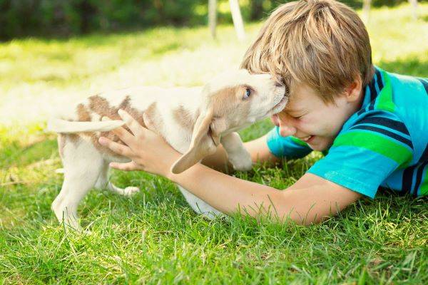 les enfants et la peur 1 La peur chez les enfants