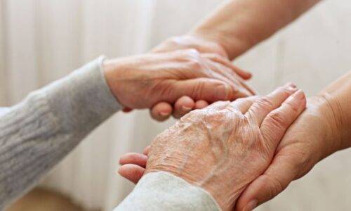 image Témoignage : dans le cadre d'une reconversion professionnelle j'ai suivi la formation ADVF